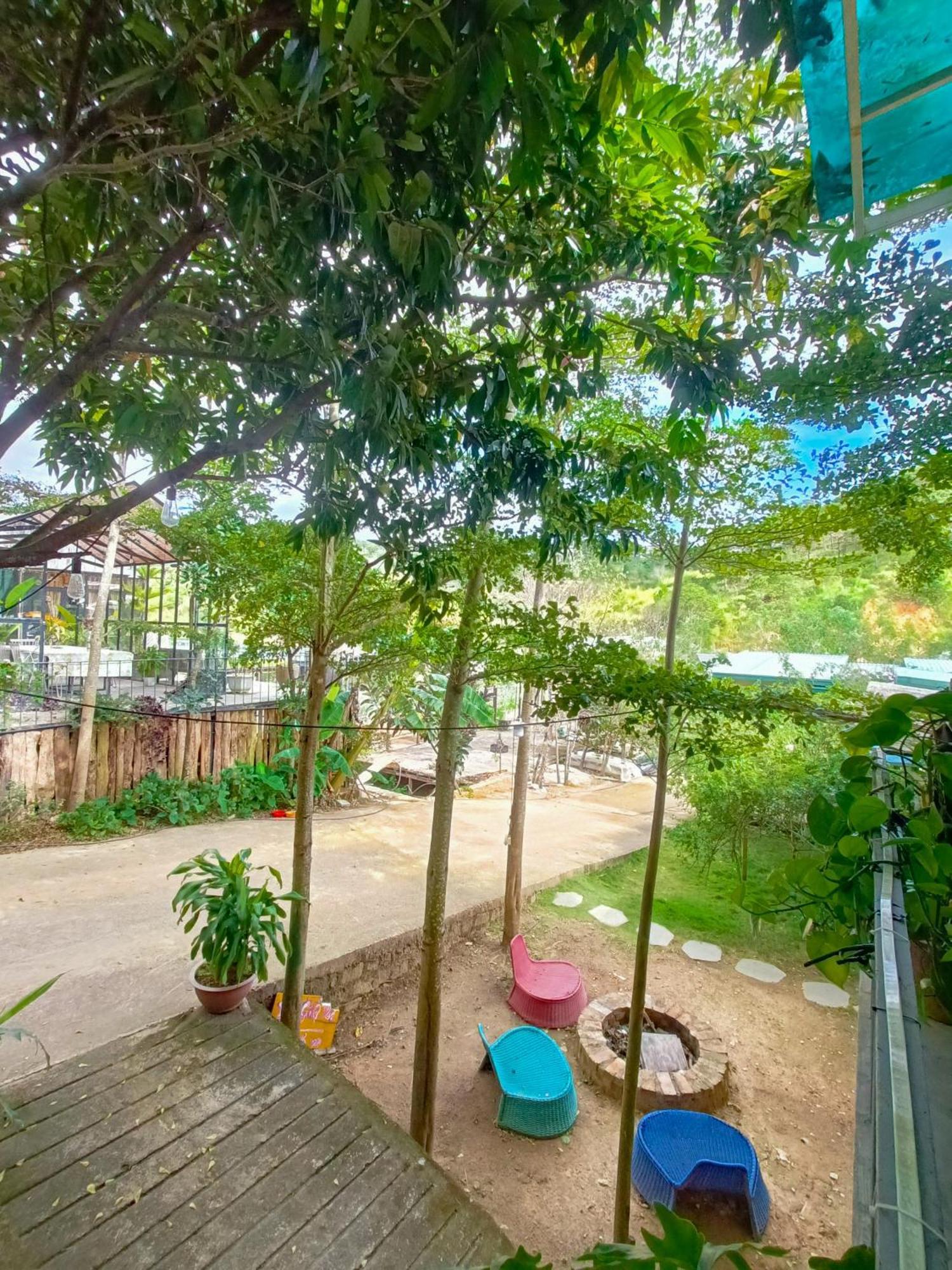 Lalaland Homestay Далат Номер фото