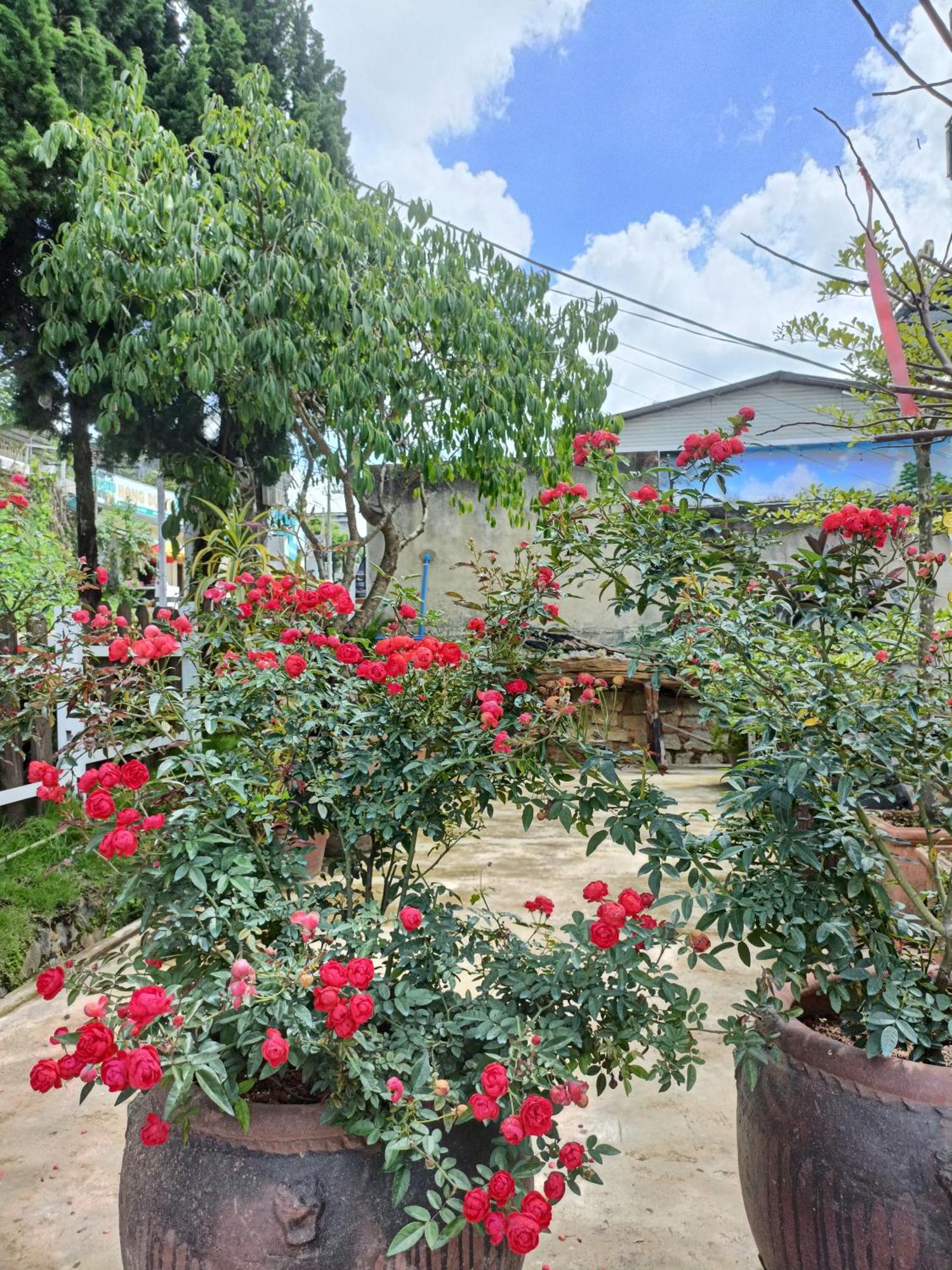 Lalaland Homestay Далат Екстер'єр фото